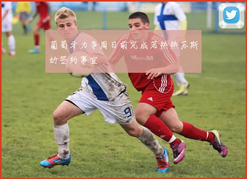 葡萄牙力争周日前完成若热热苏斯的签约事宜